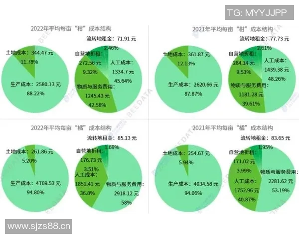 数据模型分析：预测火箭队本赛季胜率与关键因素揭示
