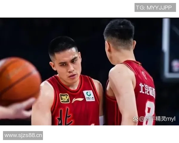 CBA赛季球队进攻端战术多样性探讨