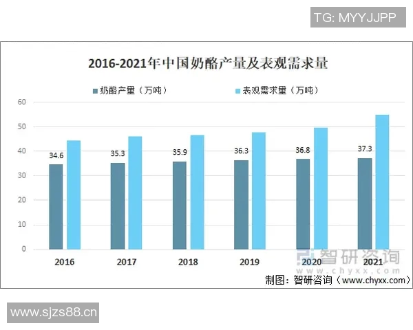 体育数字藏品发展趋势与未来市场前景深度分析